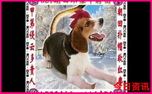 七八月份哪里避暑